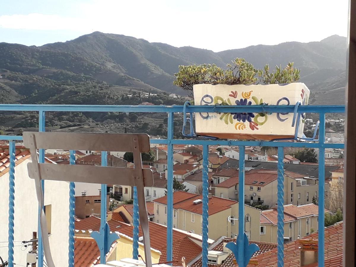 Banyuls La Grande Bleue : Studio T1 Extérieur photo