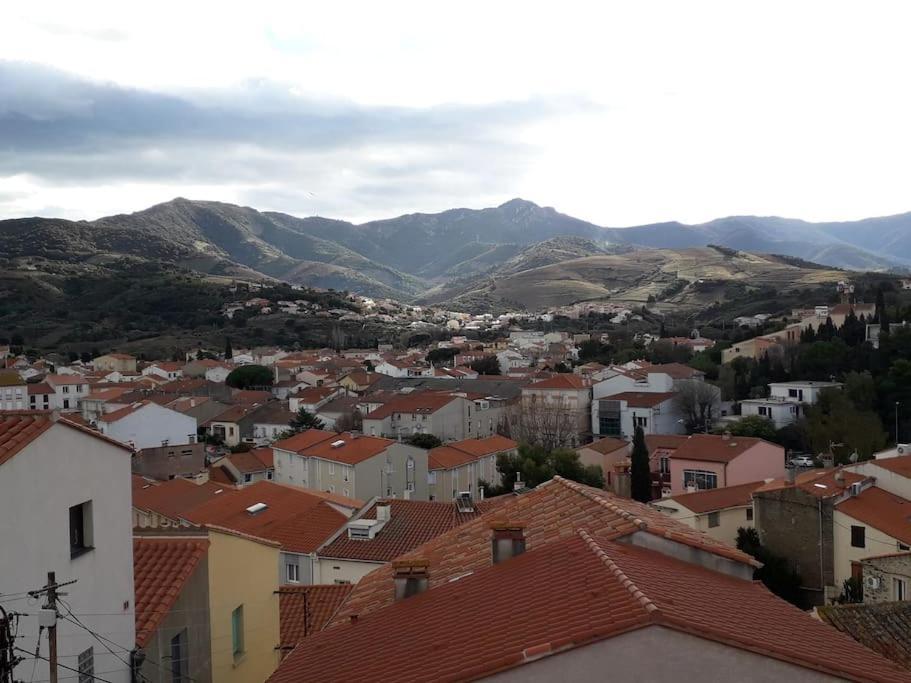 Banyuls La Grande Bleue : Studio T1 Extérieur photo