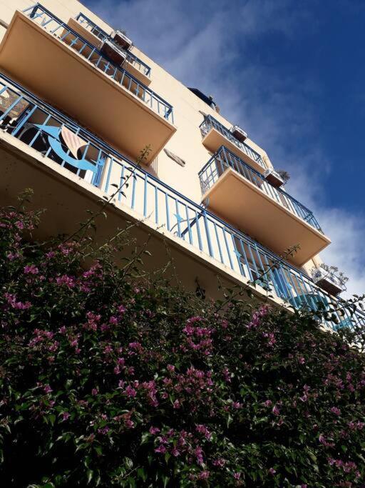 Banyuls La Grande Bleue : Studio T1 Extérieur photo