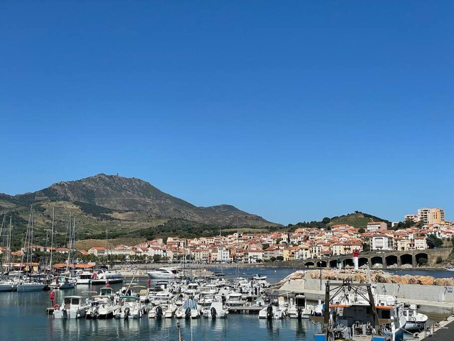 Banyuls La Grande Bleue : Studio T1 Extérieur photo